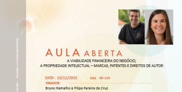 A Viabilidade financeira do negócio; A Propriedade intelectual – marcas, patentes e direitos de autor