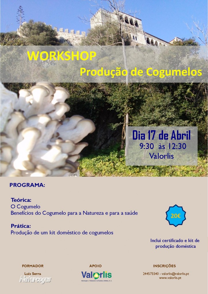 Workshop Cogumelos_ Naturcogus