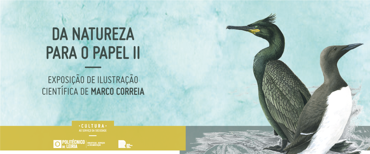 Header_Da-Natureza-para-o-Papel